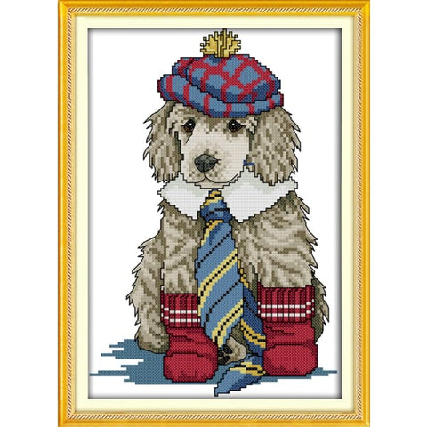 The dressed dog