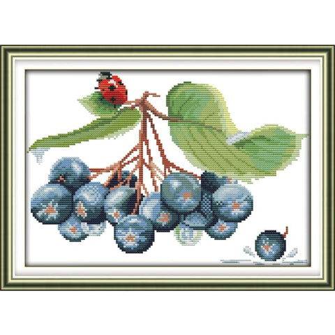 The lady beetle and blueberries