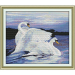 Two swans