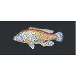 Vermilion Seabass - NEEDLEWORK KITS