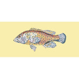 Vermilion Seabass - NEEDLEWORK KITS