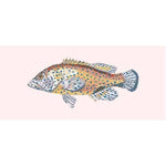 Vermilion Seabass - NEEDLEWORK KITS