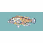 Vermilion Seabass - NEEDLEWORK KITS