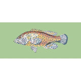 Vermilion Seabass - NEEDLEWORK KITS