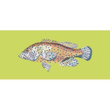 Vermilion Seabass - NEEDLEWORK KITS