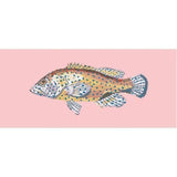 Vermilion Seabass - NEEDLEWORK KITS