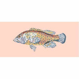 Vermilion Seabass - NEEDLEWORK KITS