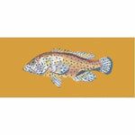 Vermilion Seabass - NEEDLEWORK KITS