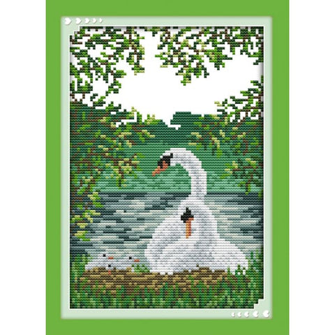 White swan(2)